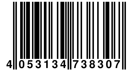 4 053134 738307
