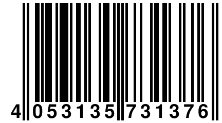 4 053135 731376