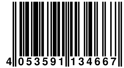 4 053591 134667