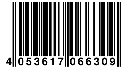 4 053617 066309