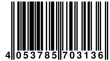 4 053785 703136