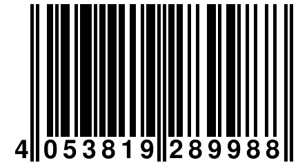 4 053819 289988