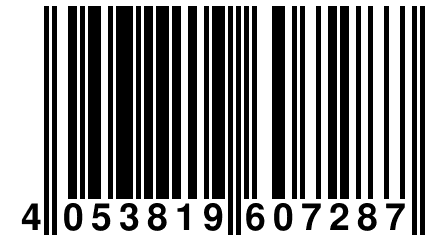 4 053819 607287