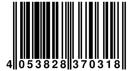 4 053828 370318