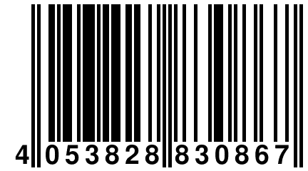 4 053828 830867
