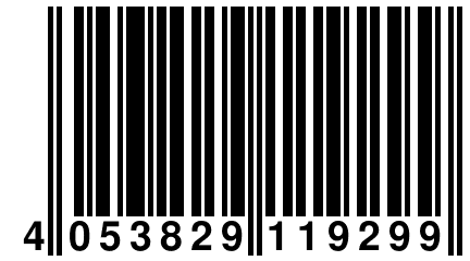 4 053829 119299