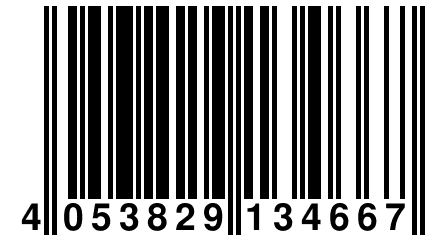 4 053829 134667