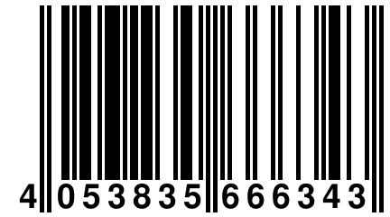 4 053835 666343