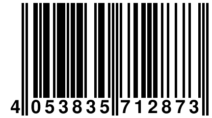 4 053835 712873