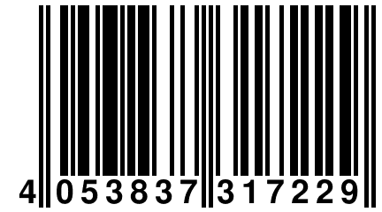 4 053837 317229