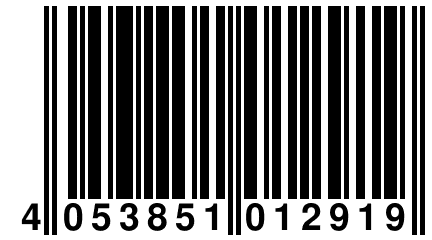 4 053851 012919