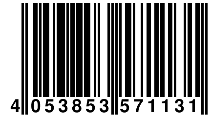 4 053853 571131