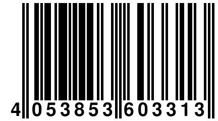 4 053853 603313
