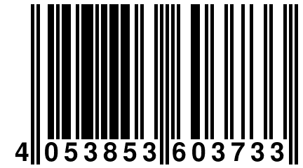 4 053853 603733