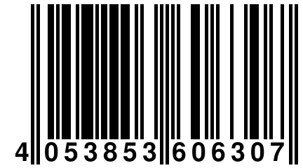 4 053853 606307