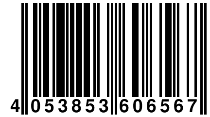 4 053853 606567