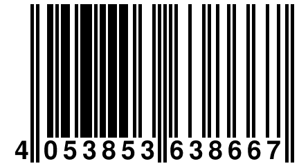 4 053853 638667