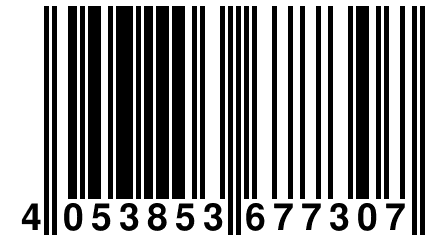 4 053853 677307