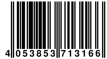 4 053853 713166