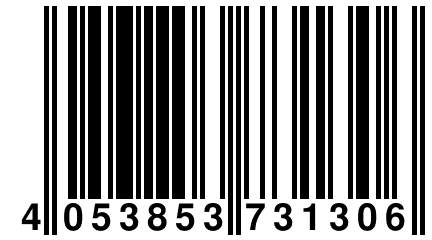 4 053853 731306