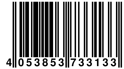 4 053853 733133