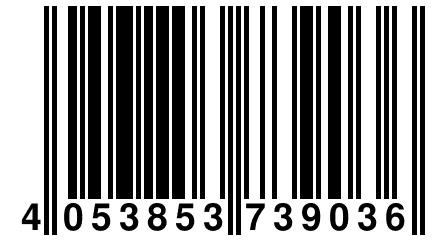 4 053853 739036