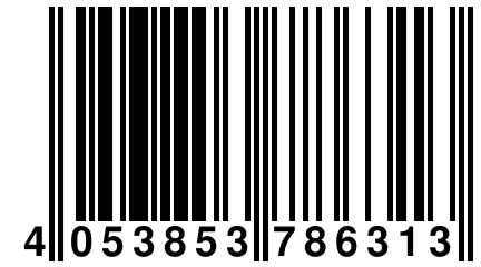 4 053853 786313