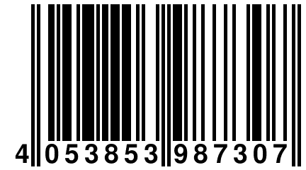 4 053853 987307