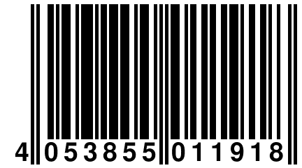 4 053855 011918
