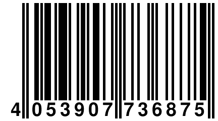 4 053907 736875