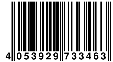 4 053929 733463