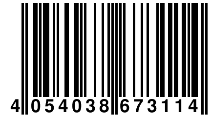 4 054038 673114