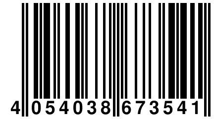 4 054038 673541