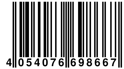 4 054076 698667