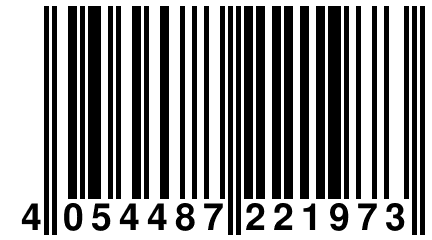 4 054487 221973