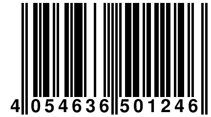 4 054636 501246