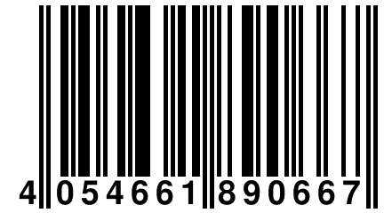 4 054661 890667