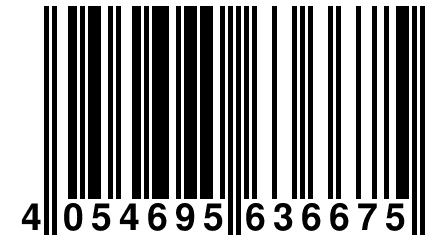 4 054695 636675
