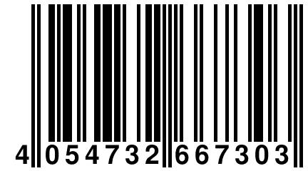 4 054732 667303