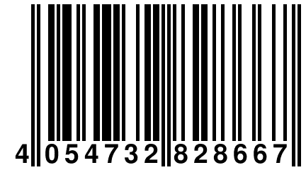 4 054732 828667