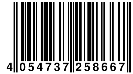 4 054737 258667