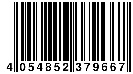 4 054852 379667