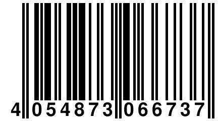 4 054873 066737