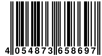 4 054873 658697