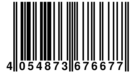 4 054873 676677