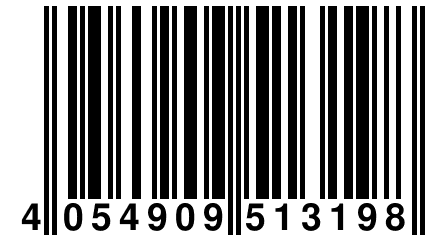 4 054909 513198