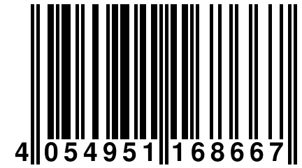 4 054951 168667