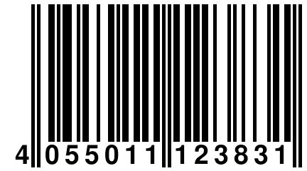 4 055011 123831