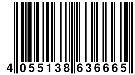 4 055138 636665