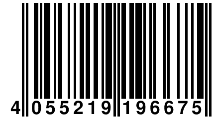 4 055219 196675